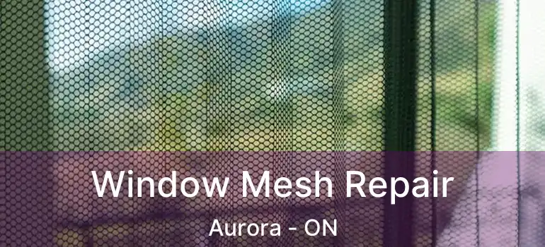  Window Mesh Repair Aurora - ON
