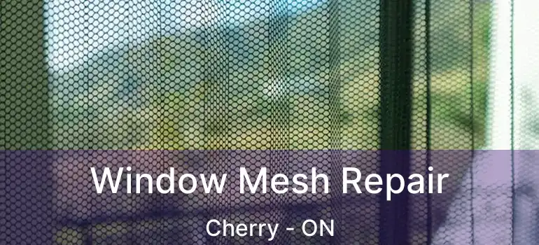  Window Mesh Repair Cherry - ON