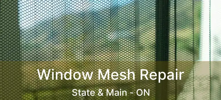  Window Mesh Repair State & Main - ON