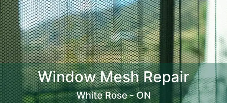  Window Mesh Repair White Rose - ON