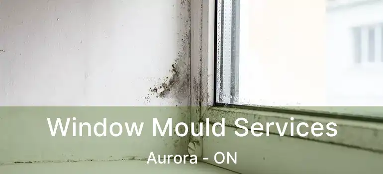  Window Mould Services Aurora - ON