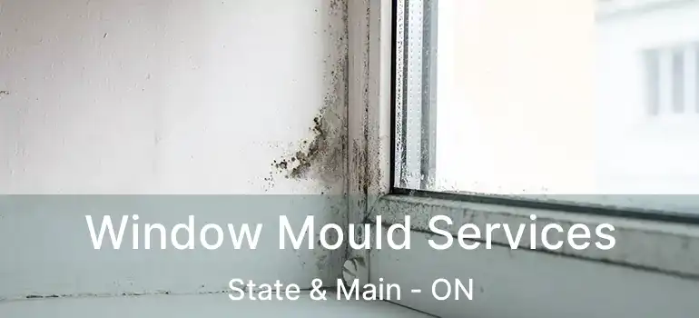  Window Mould Services State & Main - ON