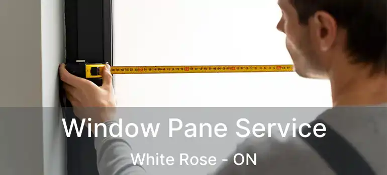  Window Pane Service White Rose - ON