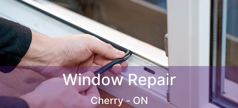  Window Repair Cherry - ON
