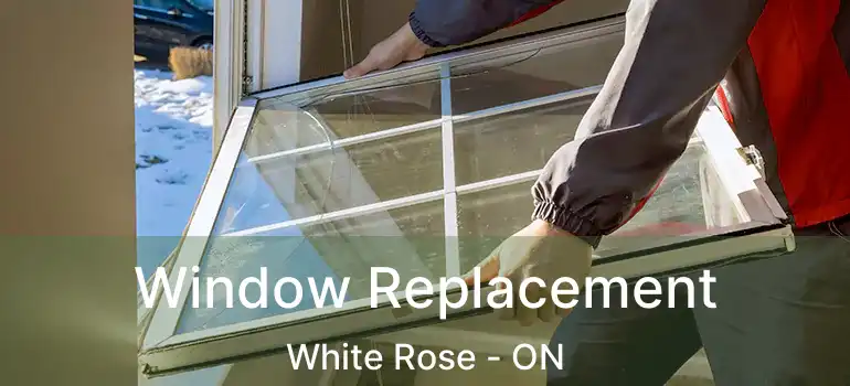  Window Replacement White Rose - ON