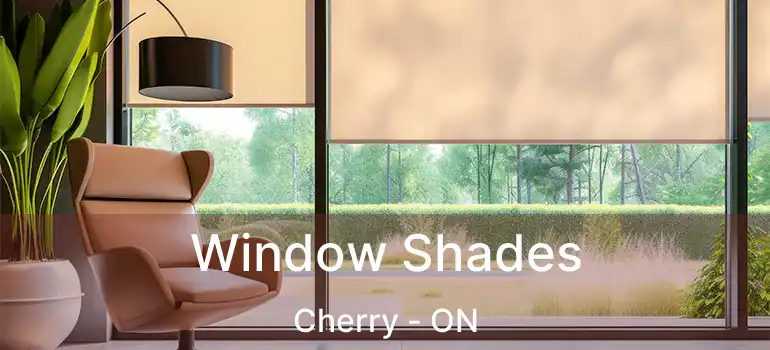  Window Shades Cherry - ON