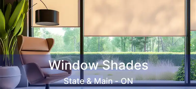  Window Shades State & Main - ON