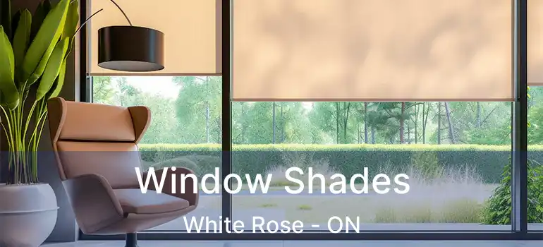  Window Shades White Rose - ON