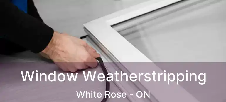  Window Weatherstripping White Rose - ON