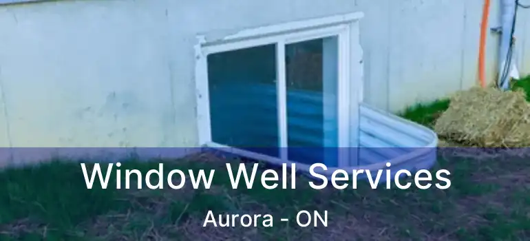 Window Well Services Aurora - ON