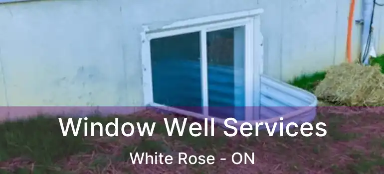  Window Well Services White Rose - ON
